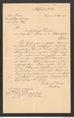Nachlass Franz Steindachner, Abschrift von Peichl an das Präsidium der kaiserlichen Akademie der Wissenschaften (11.05.1894), Inv.Nr. 4.11, Seite 1